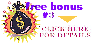 FREE Bonus!